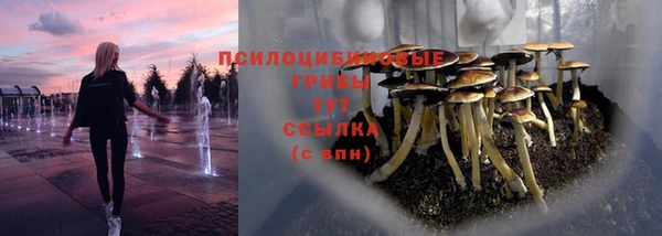 дмт Гусиноозёрск