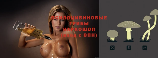 jwh Туринск