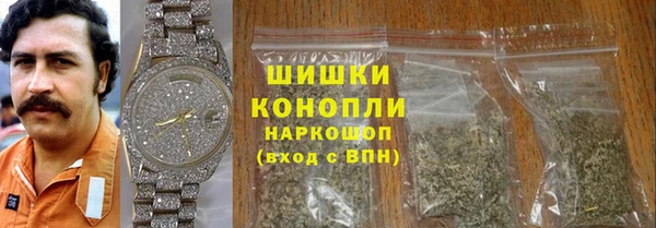 хмурый Гусь-Хрустальный