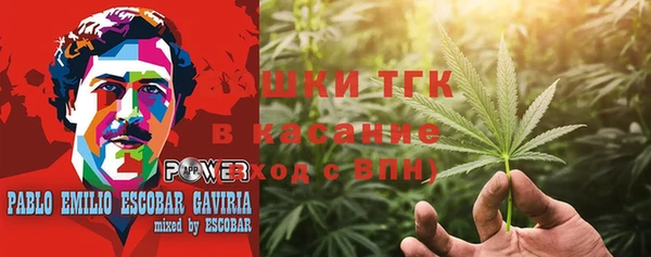 хмурый Гусь-Хрустальный